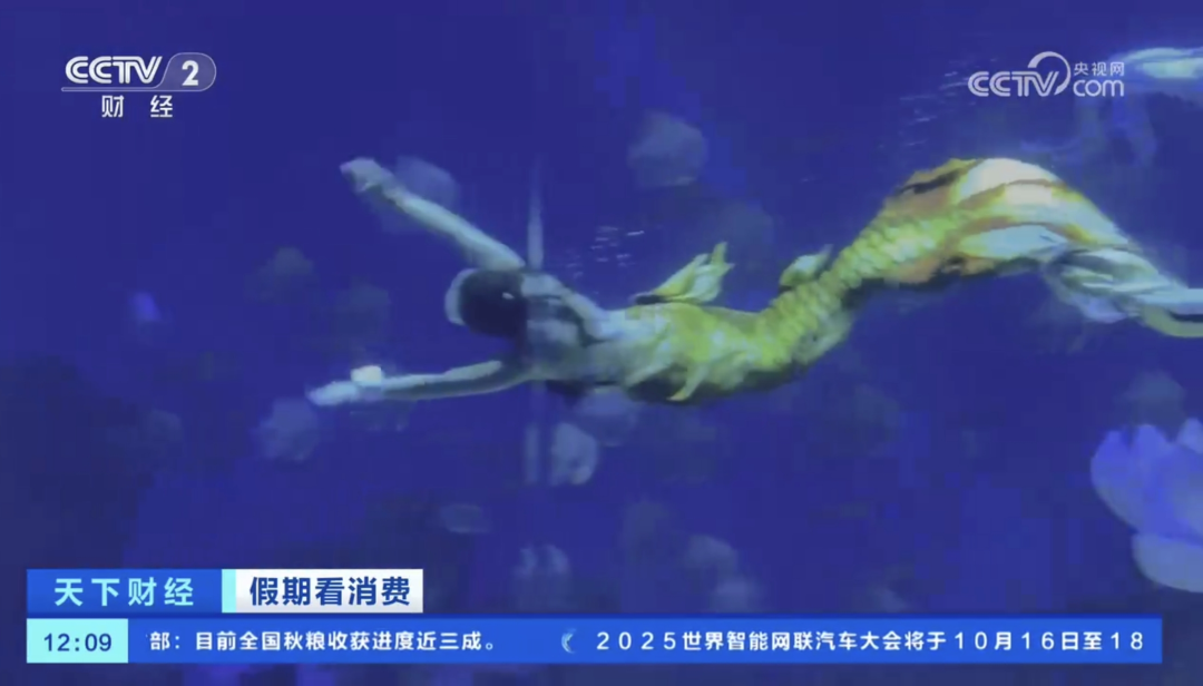 人民日?qǐng)?bào)、央視聚焦60余次！