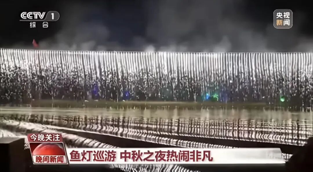 人民日?qǐng)?bào)、央視聚焦60余次！