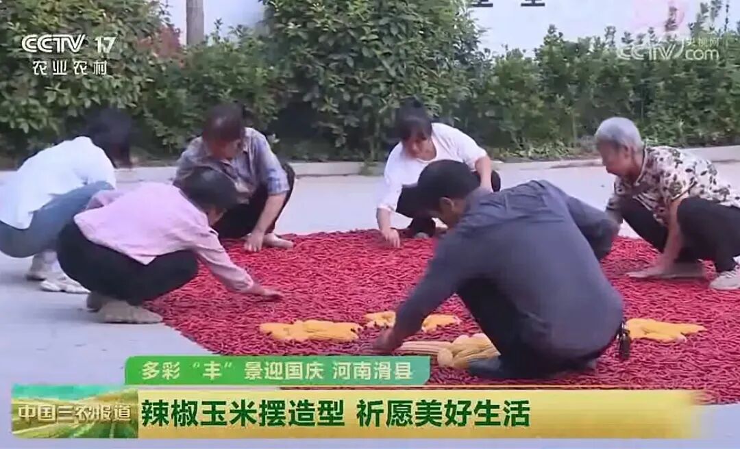 人民日?qǐng)?bào)、央視聚焦60余次！