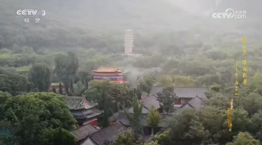 人民日?qǐng)?bào)、央視聚焦60余次！