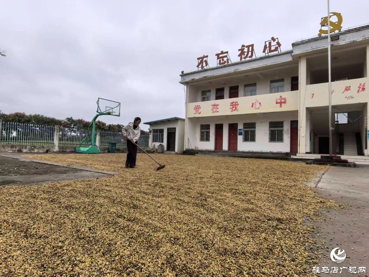 正陽縣閭河鄉(xiāng)：扛牢糧食安全責任??全力護航“三秋”生產(chǎn)