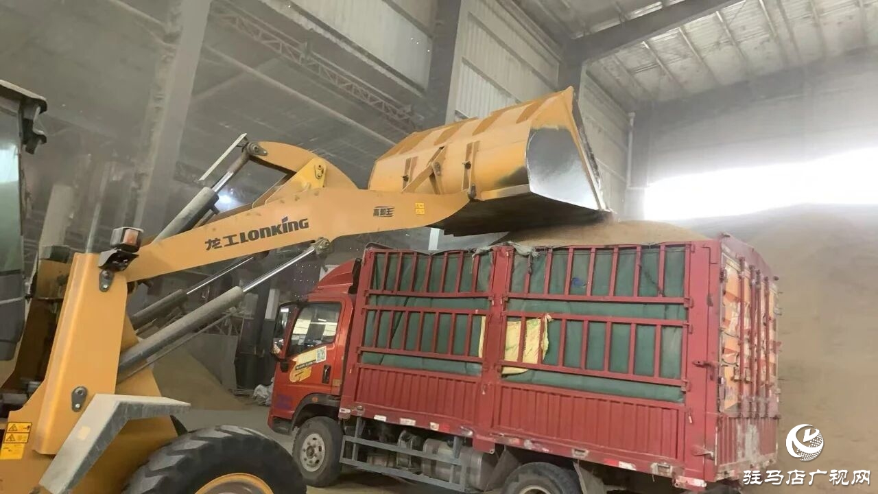 正陽縣大林鎮(zhèn)：多措并舉下實功?全力護航“三秋”生產(chǎn)