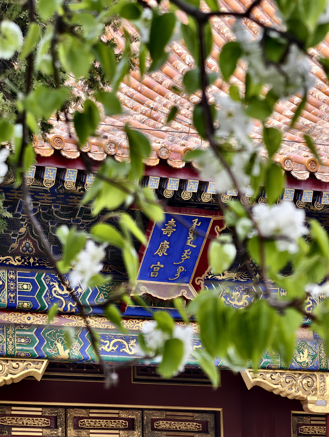 百年故宮博物院里的文字密碼