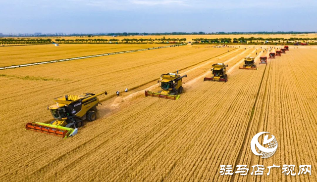 駐馬店:“十四五”???????農(nóng)業(yè)農(nóng)村現(xiàn)代化扎實推進 鄉(xiāng)村振興邁出堅實步伐?