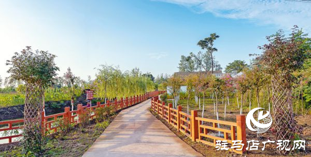 駐馬店:“十四五”???????農(nóng)業(yè)農(nóng)村現(xiàn)代化扎實推進 鄉(xiāng)村振興邁出堅實步伐?