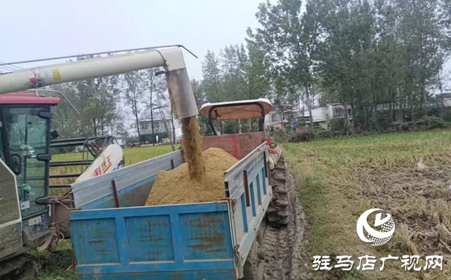 正陽縣大林鎮(zhèn):多措并舉破解生產(chǎn)難題 保障“三秋”工作高效推進?
