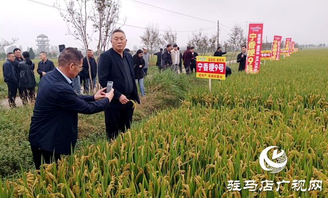 河南省超級(jí)稻現(xiàn)場(chǎng)觀摩研討會(huì)在確山縣舉行