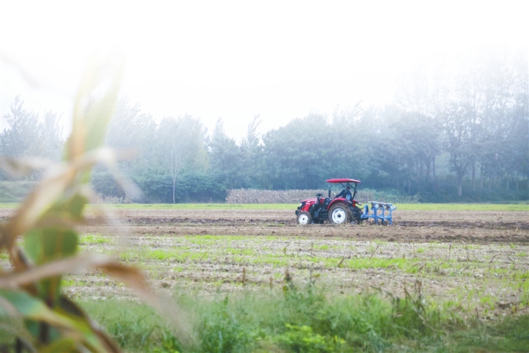 河南省糧食作物收獲已過八成 已制定小麥晚播技術(shù)方案