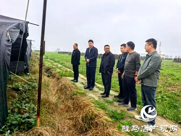 平輿縣民政局局長李松勇深入結(jié)對幫扶村調(diào)研指導(dǎo)秋收工作