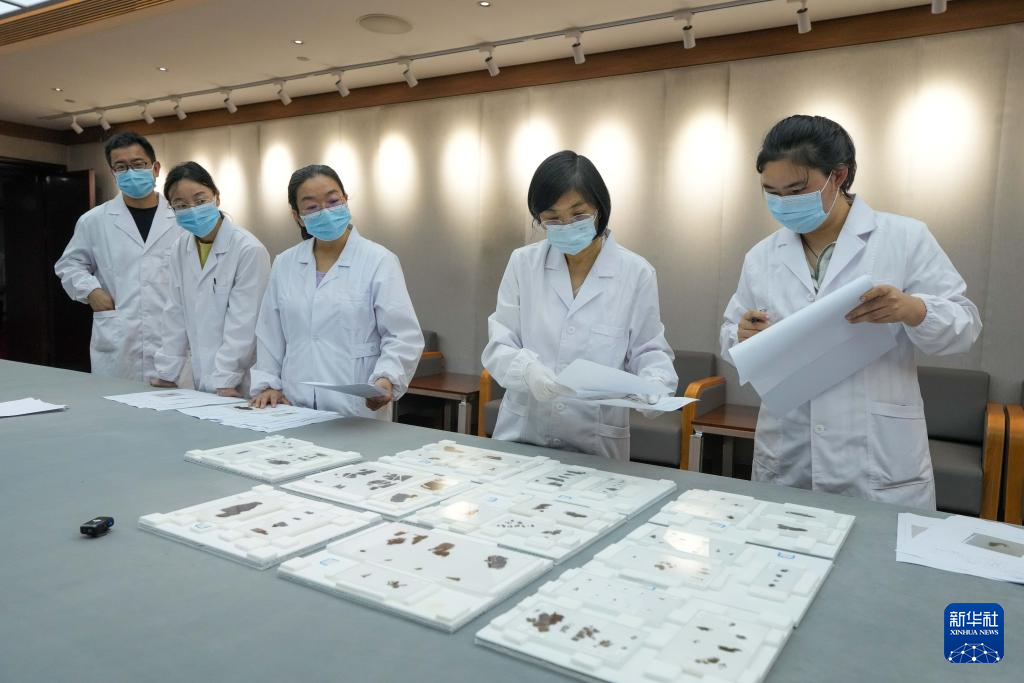 國(guó)寶安家！子彈庫(kù)戰(zhàn)國(guó)帛書正式入藏湖南省博物館