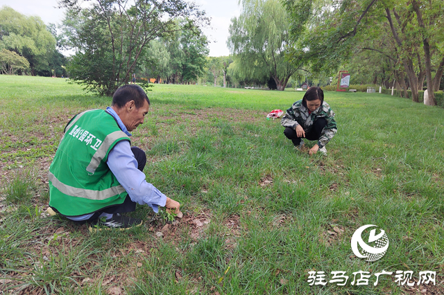 駐馬店置地公園:秋季養(yǎng)護正當時 筑牢綠植越冬“防護網(wǎng)”
