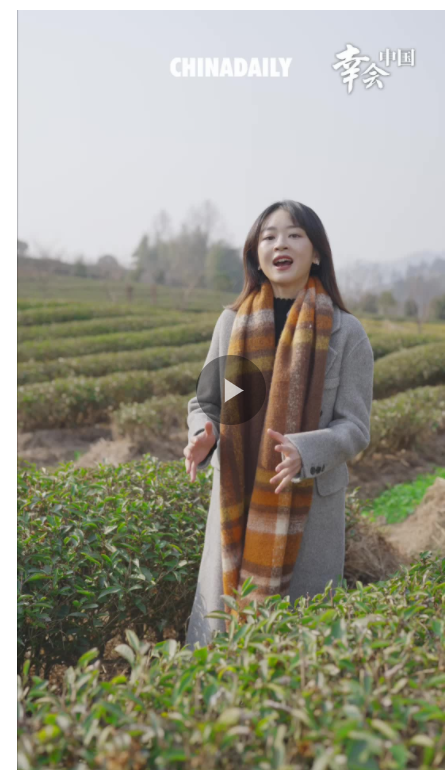 幸會中國 | 走進(jìn)福建武夷山，看綠水青山如何孕育金山銀山！