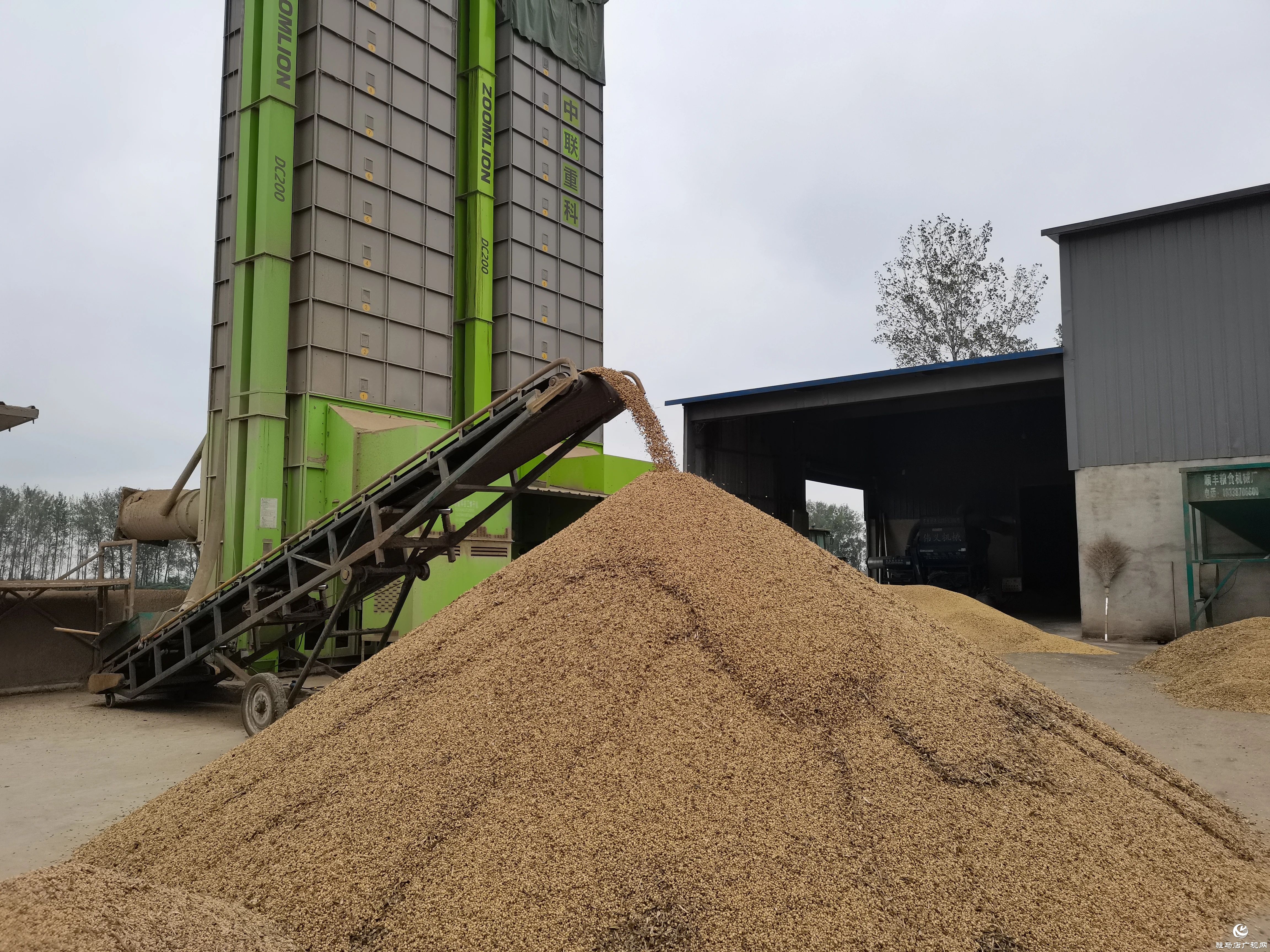 正陽(yáng)縣:全力以赴搶收搶烘 同心協(xié)力確保糧食顆粒歸倉(cāng)