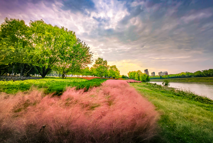 縣區(qū)動(dòng)態(tài)|草木知秋意 斑斕繪彩卷