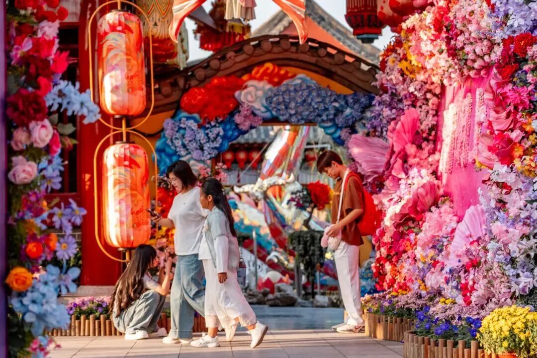 有一種浪漫，叫汴菊！