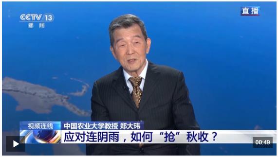 新聞1+1丨應(yīng)對(duì)連陰雨，如何“搶”秋收？