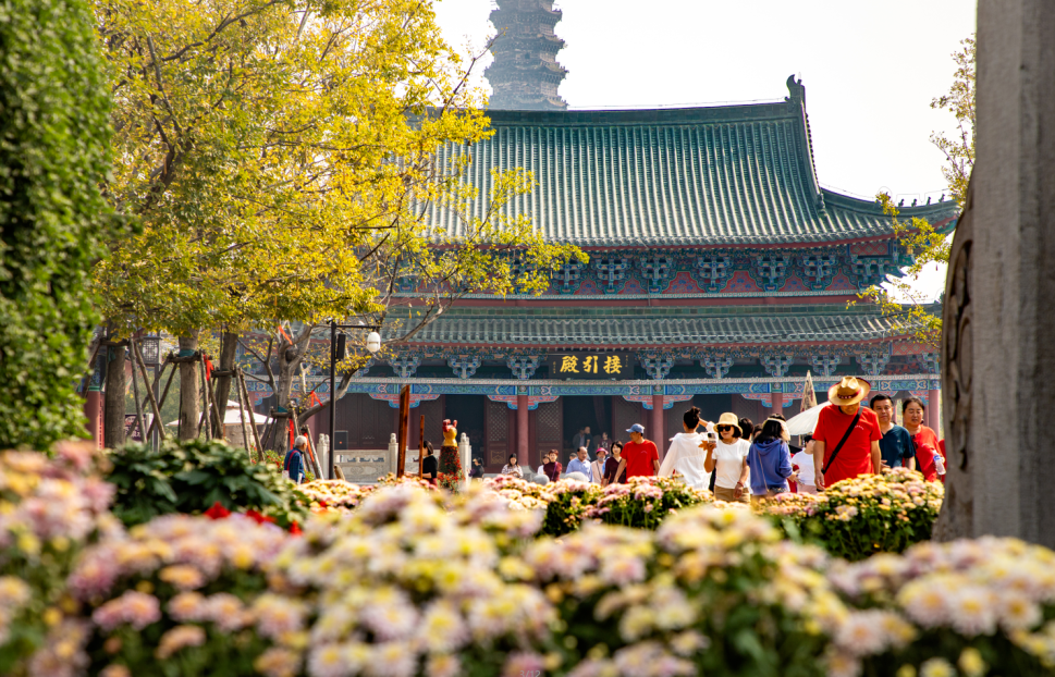 有一種浪漫，叫汴菊！