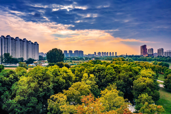 縣區(qū)動(dòng)態(tài)|草木知秋意 斑斕繪彩卷