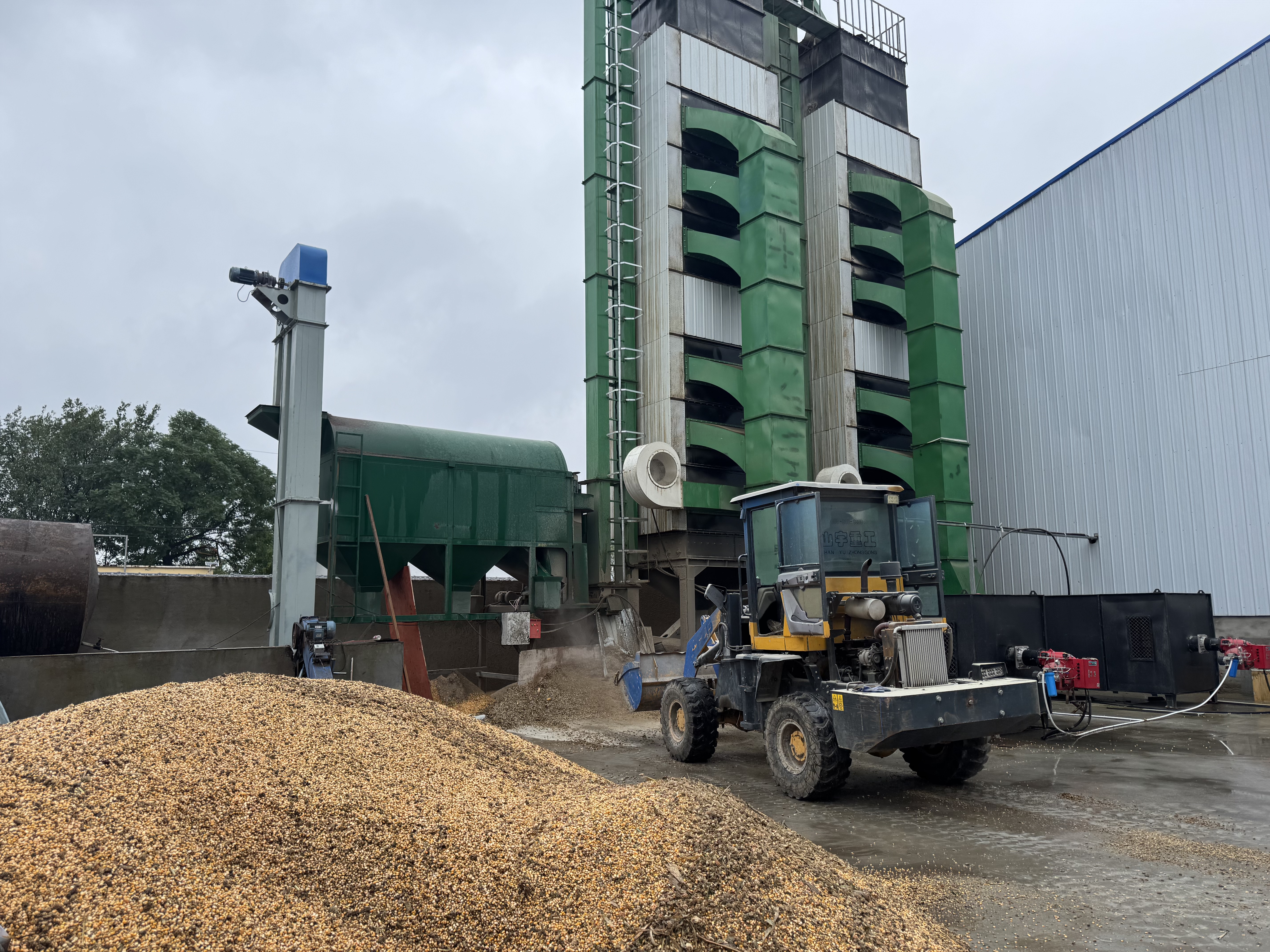 駐馬店市供銷合作社多措并舉護(hù)航秋糧收儲(chǔ)