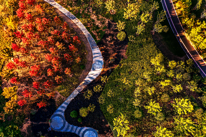 縣區(qū)動(dòng)態(tài)|草木知秋意 斑斕繪彩卷