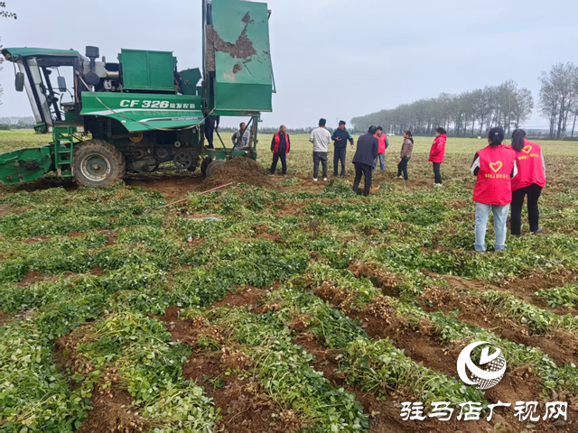 驛城區(qū)古城街道：黨建引領(lǐng)搶收一線 黨群合力守護(hù)秋糧?