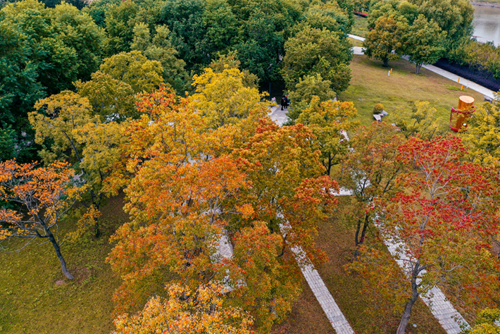 縣區(qū)動(dòng)態(tài)|草木知秋意 斑斕繪彩卷
