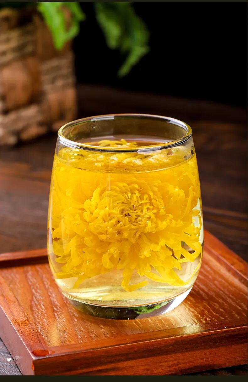 有一種浪漫，叫汴菊！