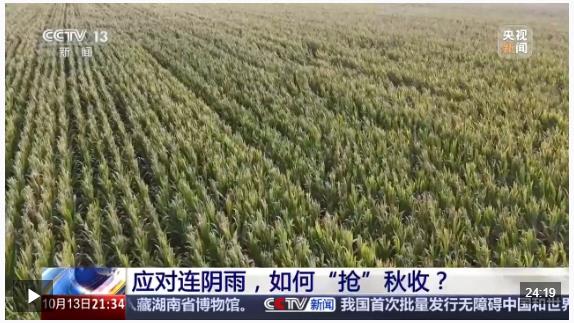 新聞1+1丨應(yīng)對(duì)連陰雨，如何“搶”秋收？