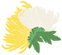 有一種浪漫，叫汴菊！