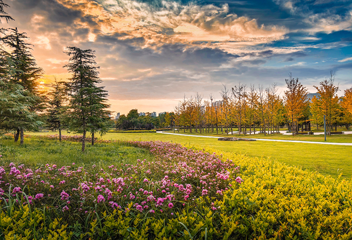 縣區(qū)動(dòng)態(tài)|草木知秋意 斑斕繪彩卷
