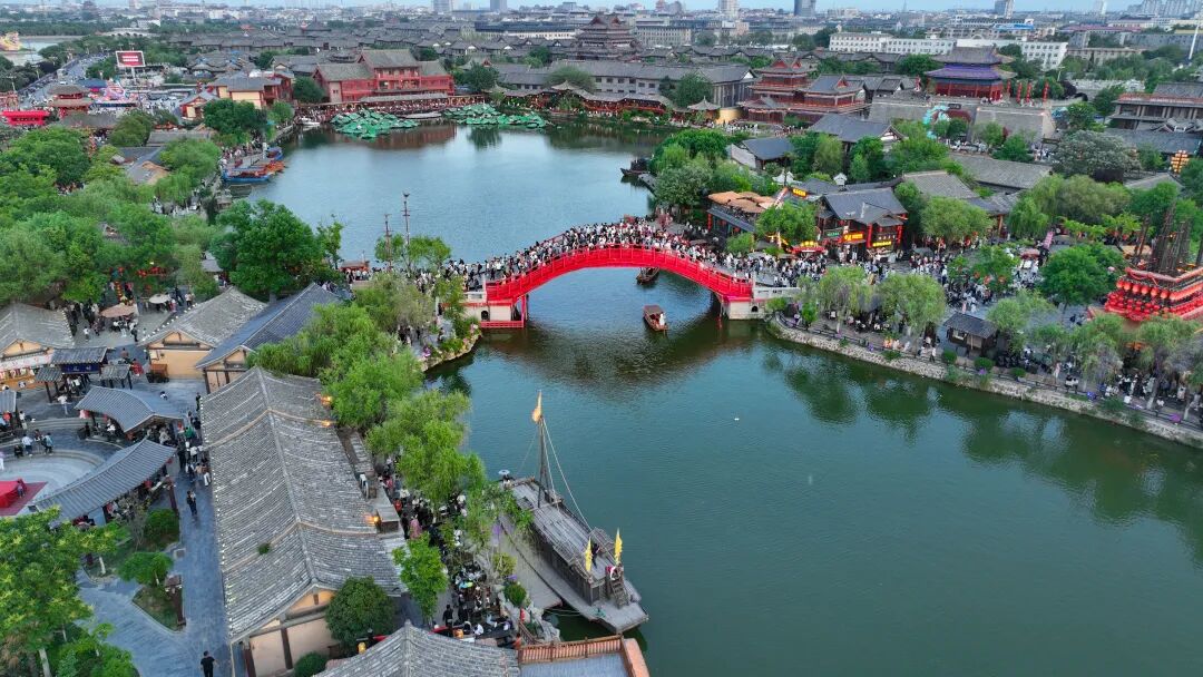 有一種浪漫，叫汴菊！