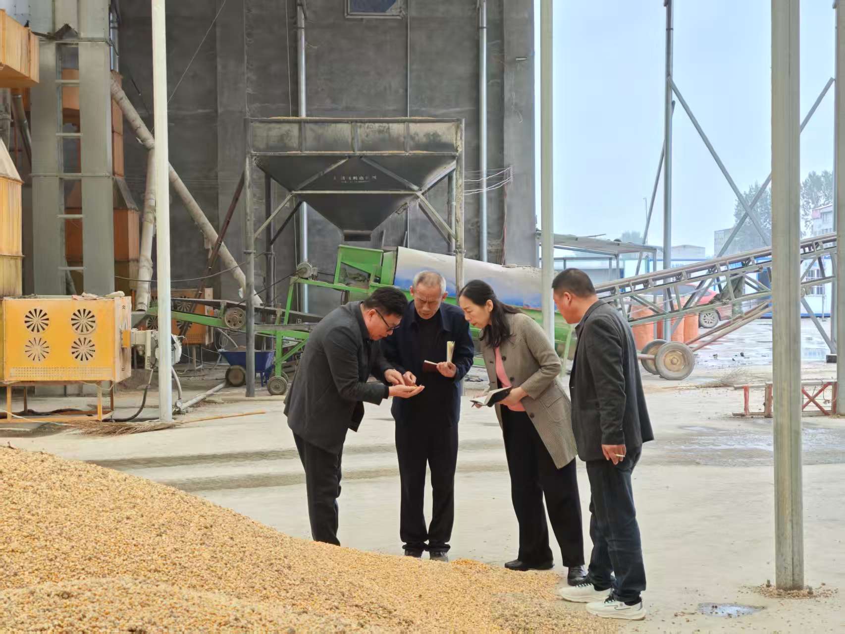 駐馬店市供銷合作社多措并舉護(hù)航秋糧收儲