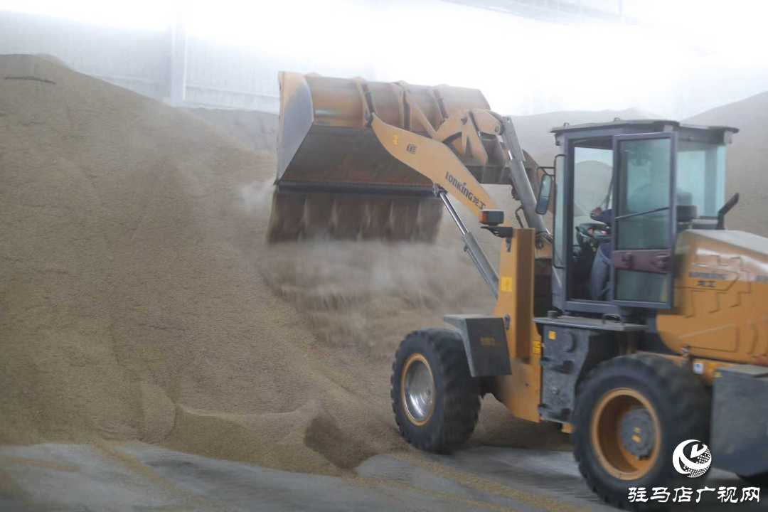 正陽(yáng)縣:晝夜搶烘 保糧減損