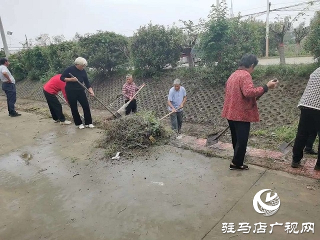  新蔡縣李橋回族鎮(zhèn)清理路肩邊溝 美化人居環(huán)境