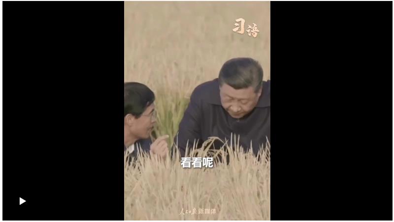 習(xí)語｜“始終繃緊糧食安全這根弦”