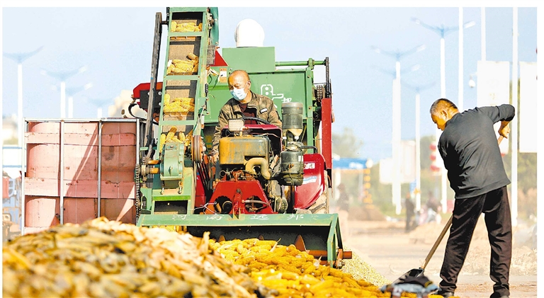 連陰雨里保“三秋”