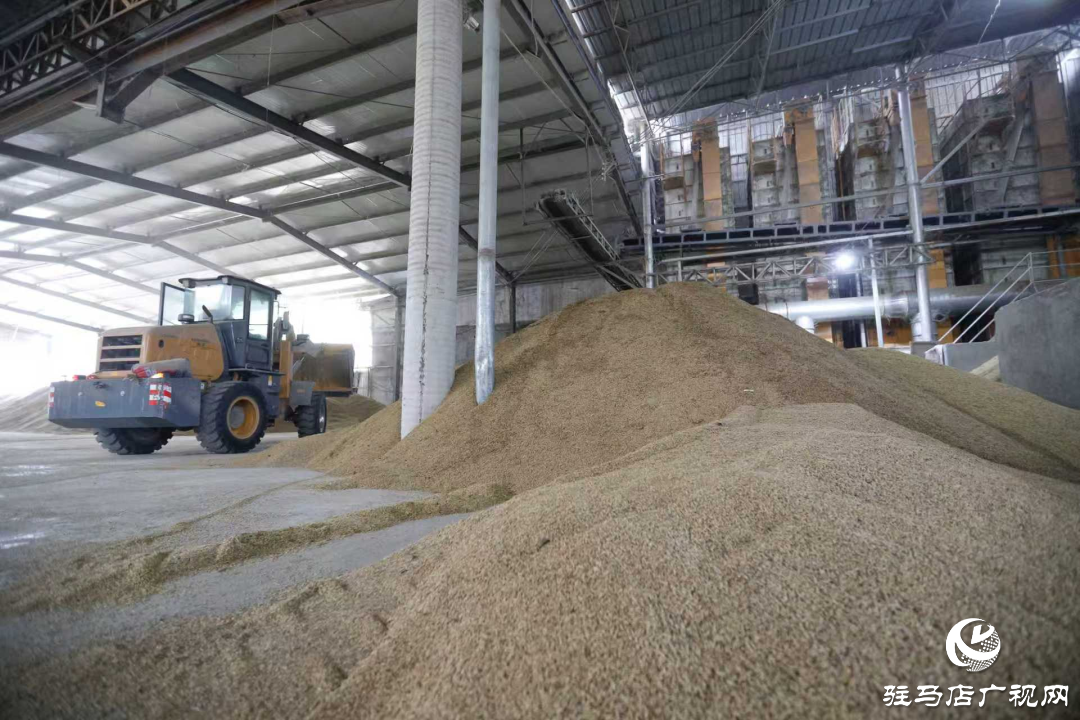 正陽(yáng)縣:晝夜搶烘 保糧減損