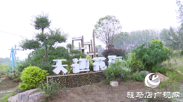 驛城區(qū)諸市鎮(zhèn)魏莊村“天邊花海”即將開(kāi)園