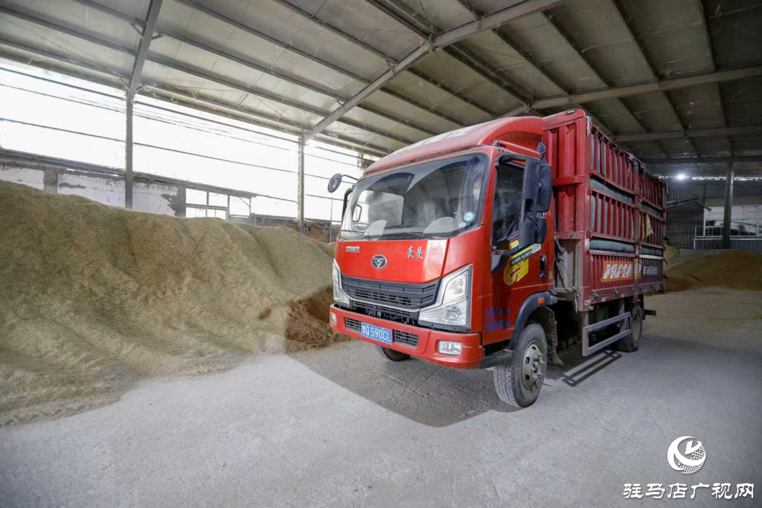 正陽(yáng)縣:晝夜搶烘 保糧減損