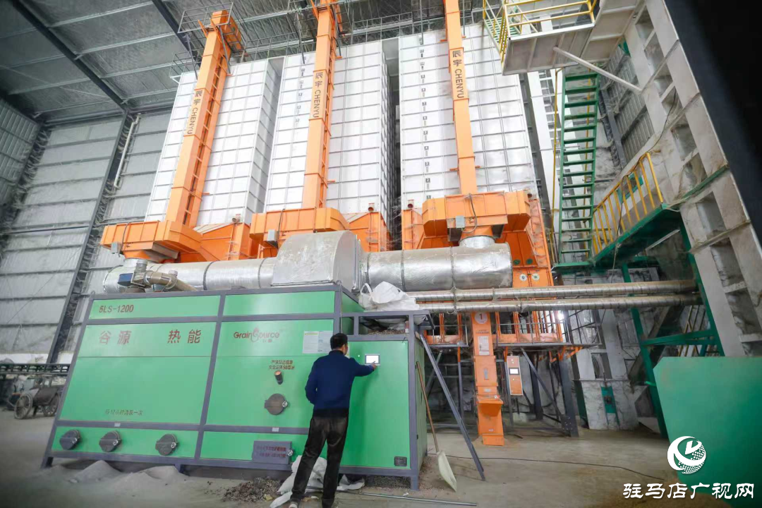 正陽(yáng)縣:晝夜搶烘 保糧減損