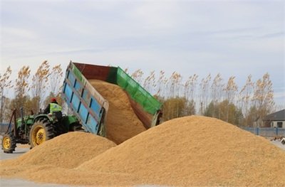 <strong>河南多點發(fā)力守護秋糧安全</strong>