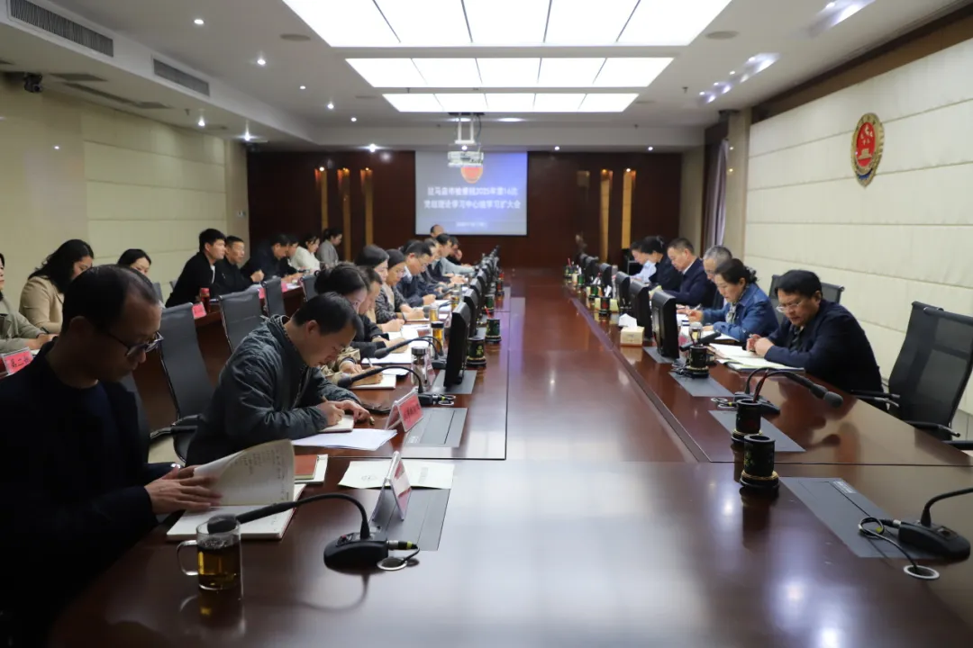 狠抓落實 出彩進位——市檢察院召開黨組理論學習中心組學習擴大會