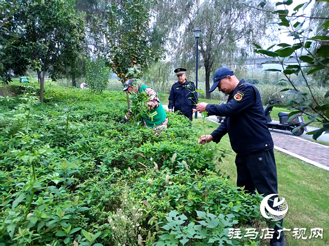 確山縣住建局:科學(xué)應(yīng)對(duì)連續(xù)陰雨 全力守護(hù)城市園林