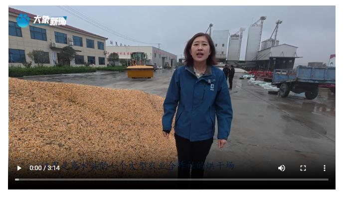 【秋糧五問】二問：濕糧收完如何烘干晾曬？