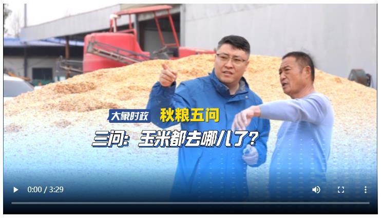 【秋糧五問(wèn)】三問(wèn)：玉米都去哪兒了？