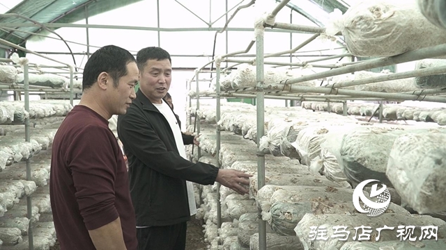 黨建引領(lǐng)產(chǎn)業(yè)旺 劉樓村鋪就共富路