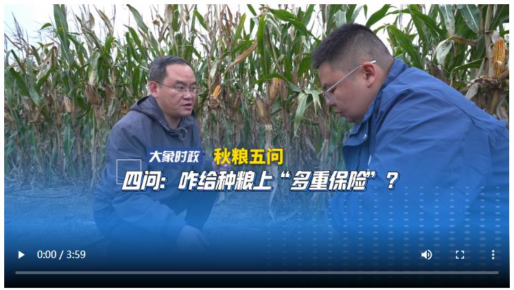 【秋糧五問】四問：咋給種糧上“多重保險”？