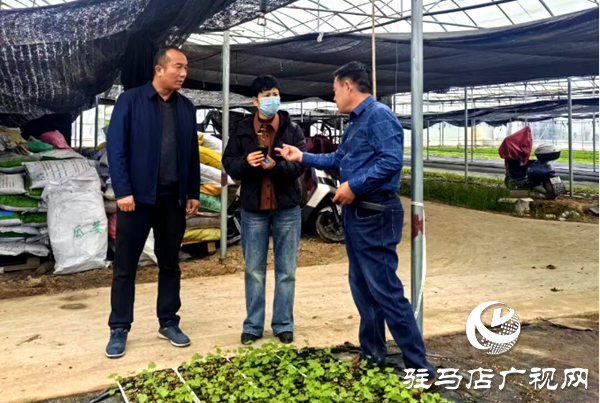 平輿縣婦聯(lián)牽頭組織首次考察瓜蔞全產(chǎn)業(yè)鏈項(xiàng)目并取得初步進(jìn)展