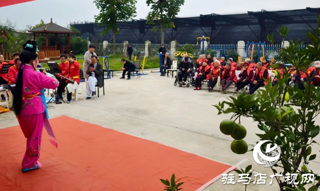 泌陽縣：曲劇專場送溫情 敬老愛老暖人心