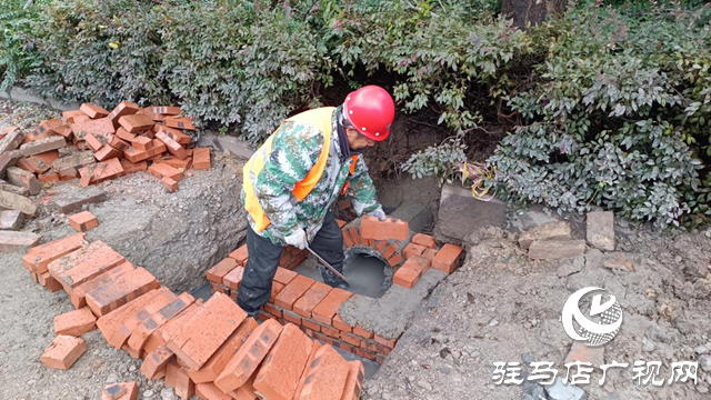駐馬店洪河大道維修工程有序推進 預(yù)計年底全面完工??